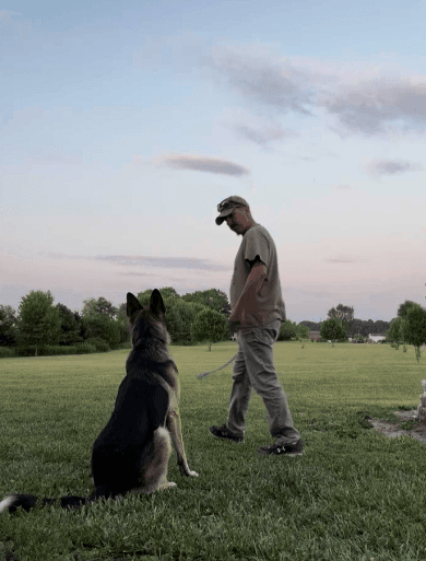 John Reese training a German Shepherd at Patriot K9 Command.